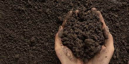 Loam01