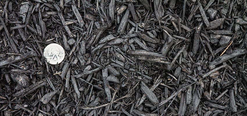 Black Mulch